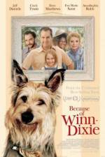 Watch Because of Winn-Dixie 123movies