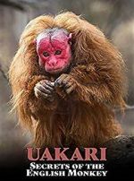 Watch Uakari: Secrets of the English Monkey 123movies