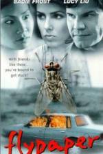 Watch Flypaper 123movies