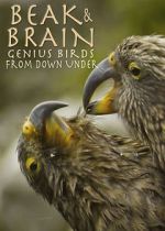 Watch Beak & Brain - Genius Birds from Down Under 123movies