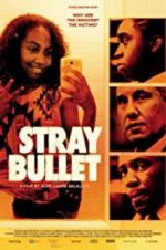 Watch Stray Bullet 123movies