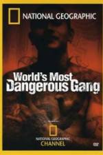 Watch National Geographic World's Most Dangerous Gang 123movies