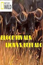 Watch National Geographic - Blood Rivals: Lion vs. Buffalo 123movies