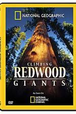 Watch National Geographic Explorer: Climbing Redwood Giants 123movies