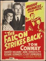 Watch The Falcon Strikes Back 123movies