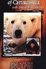 Watch The Polar Bears of Churchill with Ewan McGregor 123movies