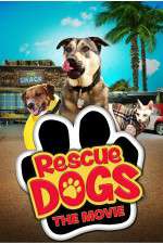 Watch Rescue Dogs 123movies