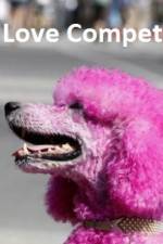 Watch The Love Competition 123movies