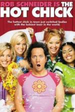 Watch The Hot Chick 123movies