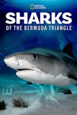 Watch Sharks of the Bermuda Triangle (TV Special 2020) 123movies