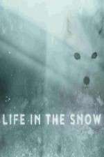 Watch Life in the Snow 123movies
