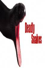 Watch National Geographic Wild Deadly Snakes 123movies