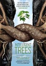 Watch Intelligent Trees 123movies