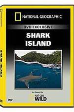 Watch National Geographic: Shark Island 123movies