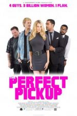 Watch The Perfect Pickup 123movies