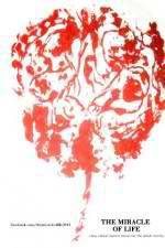 Watch The Miracle of Life 123movies