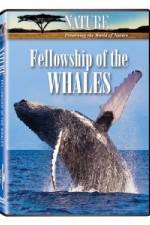 Watch Fellowship Of The Whales 123movies