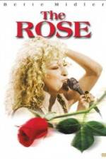 Watch The Rose 123movies