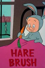 Watch Hare Brush (Short 1955) 123movies