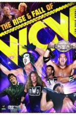 Watch WWE The Rise and Fall of WCW 123movies