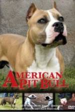 Watch American Pit Bull 123movies