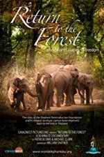 Watch Return to the Forest 123movies