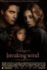 Watch Breaking Wind 123movies