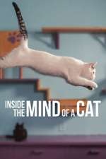 Watch Inside the Mind of a Cat 123movies