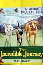 Watch The Incredible Journey 123movies