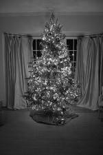 Watch The Christmas Miracle 123movies