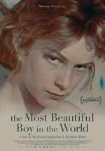 Watch The Most Beautiful Boy in the World 123movies