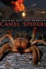 Watch Camel Spiders 123movies