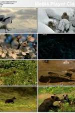 Watch National Geographic: Japans Hidden Secrets 123movies