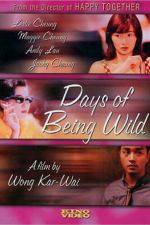Watch Days of Being Wild 123movies