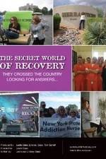 Watch The Secret World of Recovery 123movies