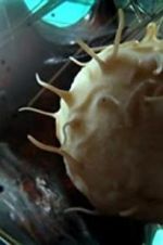 Watch Our Secret Universe: The Hidden Life of the Cell 123movies