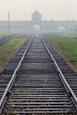 Watch AUSCHWITZ: FACTORIES OF DEATH 123movies