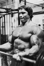 Watch The Comeback 123movies