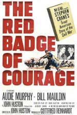 Watch The Red Badge of Courage 123movies