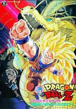 Watch Dragon Ball Z: Wrath of the Dragon 123movies