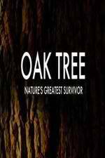 Watch Oak Tree Natures Greatest Survivor 123movies