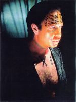 Watch The Age of Insects 123movies