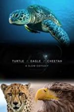 Watch Turtle, Eagle, Cheetah: A Slow Odyssey 123movies