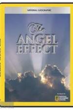 Watch National Geographic Explorer - The Angel Effect 123movies