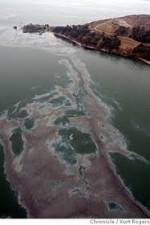 Watch National Geographic: Gulf Coast Disaster 123movies