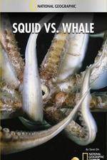 Watch National Geographic Wild - Squid Vs Whale 123movies