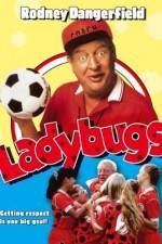 Watch Ladybugs 123movies