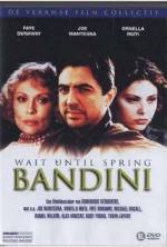 Watch Wait Until Spring, Bandini 123movies