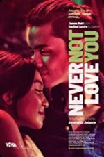 Watch Never Not Love You 123movies