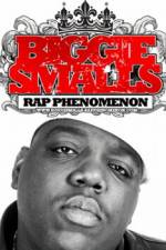 Watch Biggie Smalls Rap Phenomenon 123movies